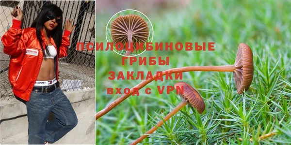 стаф Арсеньев