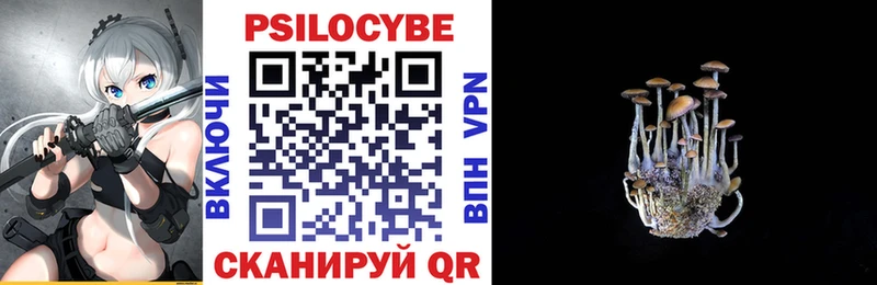 Псилоцибиновые грибы GOLDEN TEACHER  магазин продажи наркотиков  MEGA ТОР  Пересвет 